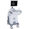 DW-370 2017 New design medical equipment ultrasound machine